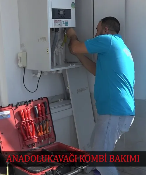 Anadolu Kavağı kombi bakımı